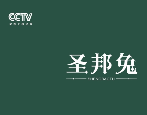 2025圣邦兔色卡